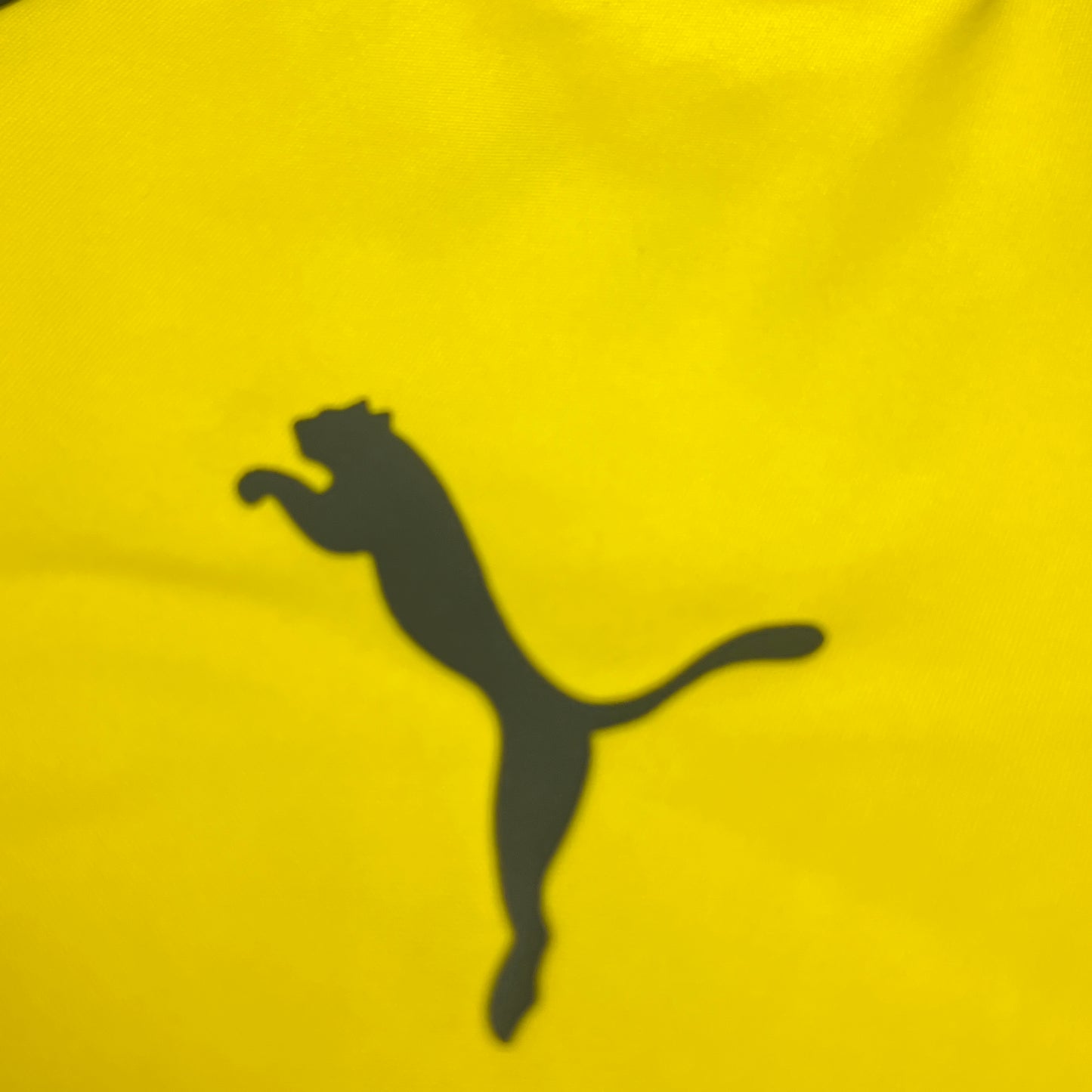 02726 Puma Borussia Dortmund BVB 2017-2018 Training Jersey