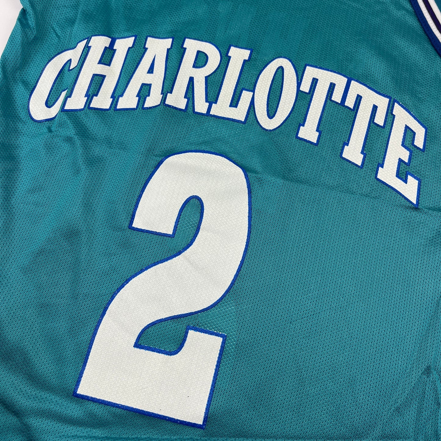 02413 Starter Charlotte Hornets Larry Johnson Jersey