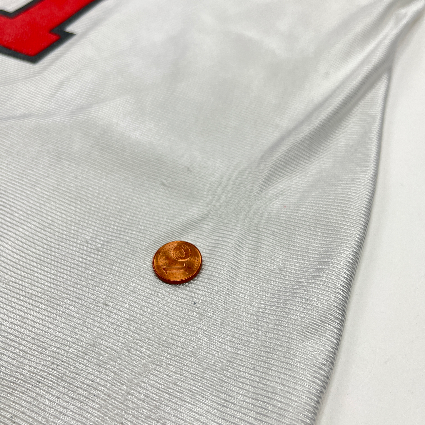 01106 Champion Chicago Bulls Dennis Rodman