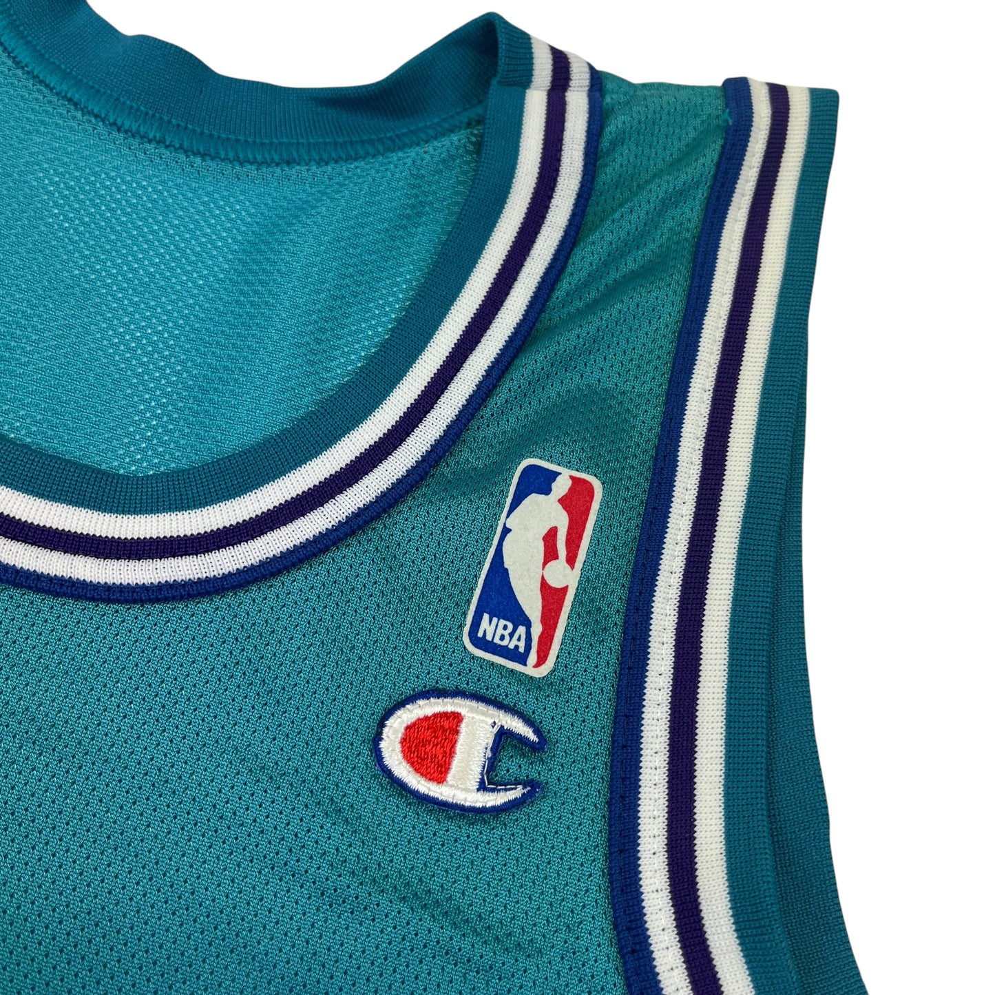 02413 Starter Charlotte Hornets Larry Johnson Jersey