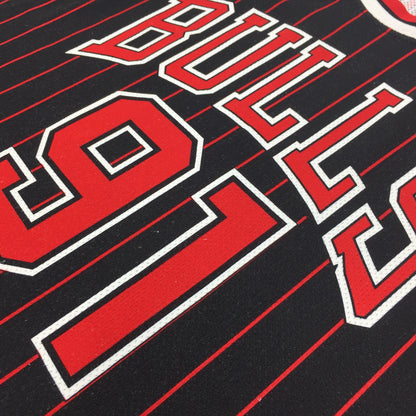 0410 Champion Vintage Chicago Bulls Rodman Jersey