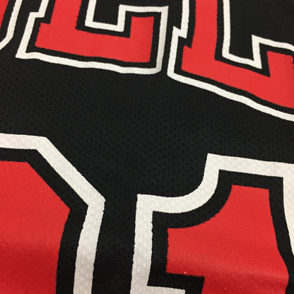 0152 Champion Chicago Bulls Rodman Vintage Jersey