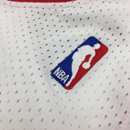 0413 NBA Authentic Chicago Bulls Jordan Jersey