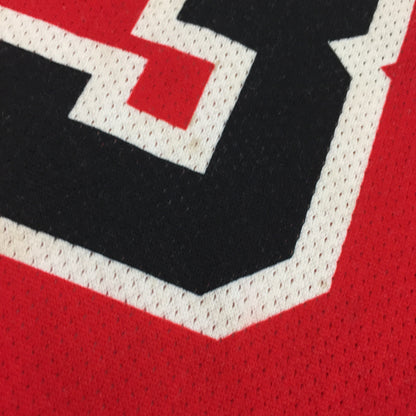 0138 Champion Jordan Chicago Bulls Vintage Jersey